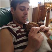 Insegnante con esperienze pregresse offre servizi per materie umanistiche ed insegnamento metodo di studio su mappe concettuali. Offro anche assistenza tesi e relazioni